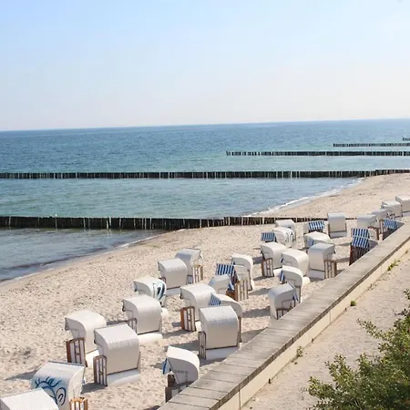 Seestern 오스치바드 닌하겐